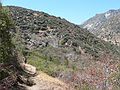 August 12, 2007 - Sequoia National Forest, California.<br />On the trail down to the confluence of the Middle and South forks of Kings River.<br />According to David's thermometer the temperature reached 101 degrees F.