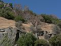 August 12, 2007 - Sequoia National Forest, California.<br />North bank of South Fork at the confluence with Middle Fork of the Kings River.
