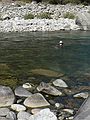 August 12, 2007 - Sequoia National Forest, California.<br />Egils drifting down the river.