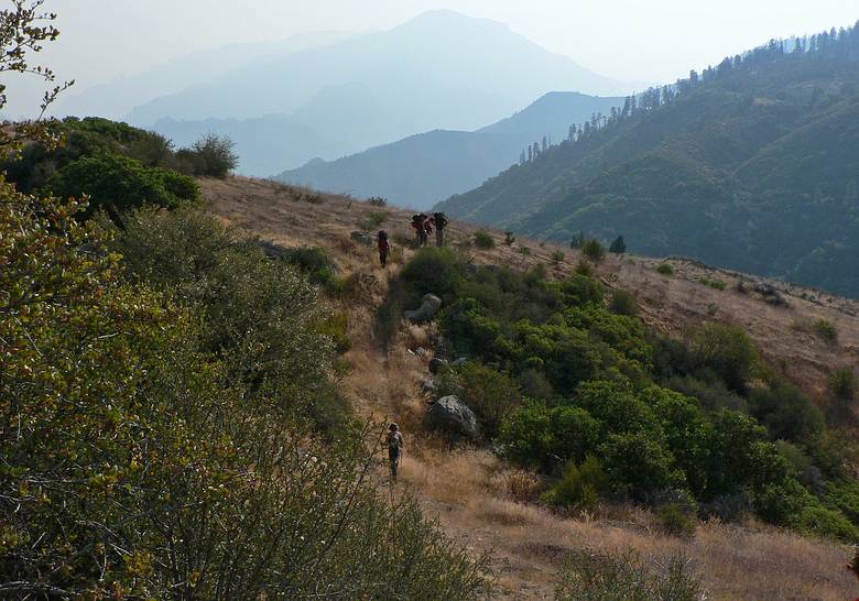 August 15, 2007 - Sequoia National Forest, California.<br />Bushwhacking from Hume Lake Road to Ten Mile Creek.