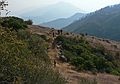 August 15, 2007 - Sequoia National Forest, California.<br />Bushwhacking from Hume Lake Road to Ten Mile Creek.