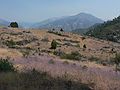 August 15, 2007 - Sequoia National Forest, California.<br />Between Ten Mile Creek and Hume Lake Road.