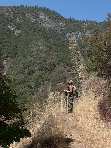 August 17, 2007 - Marble Falls Trail, Sequoia National Park, California.<br />Joyce standing next to a yucca on trail up from Potwisha Campground.