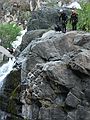 August 17, 2007 - At Marble Falls, Sequoia National Park, California.<br />And at the end of the day here come Sati and Melody and Heather.