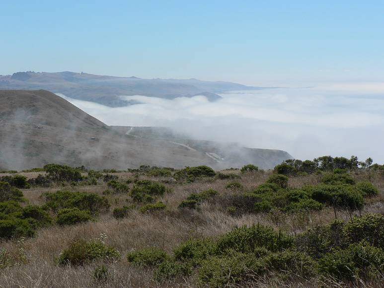 August 19, 2007 - About 2.5 - 3.0 miles (as the crow flies) northwest of Jenner, California.