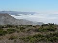 August 19, 2007 - About 2.5 - 3.0 miles (as the crow flies) northwest of Jenner, California.