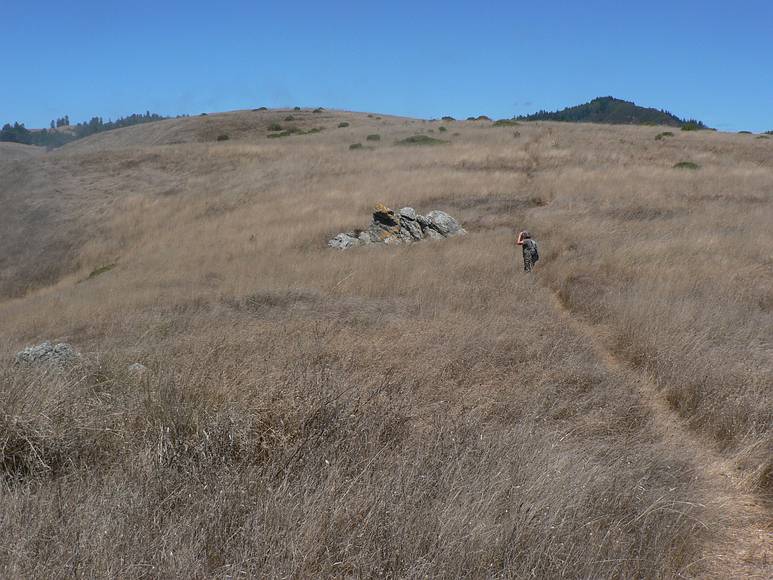 August 19, 2007 - About 2.5 - 3.0 miles (as the crow flies) northwest of Jenner, California.