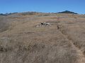 August 19, 2007 - About 2.5 - 3.0 miles (as the crow flies) northwest of Jenner, California.
