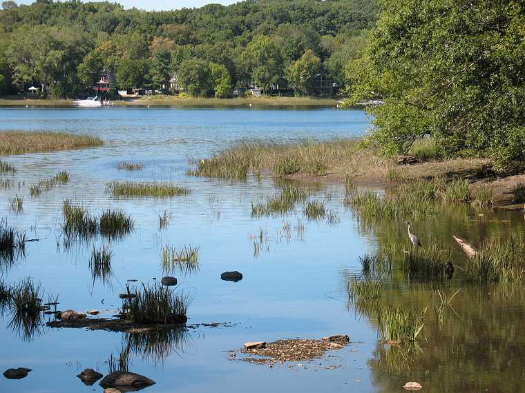 Sept. 19, 2007 - Newburyport, Massachusetts.<br />Heron on the Artichoke, below Curzon's Mill as it flows into the Merrimack River.