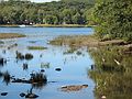 Sept. 19, 2007 - Newburyport, Massachusetts.<br />Heron on the Artichoke, below Curzon's Mill, as it flows into the Merrimack River.