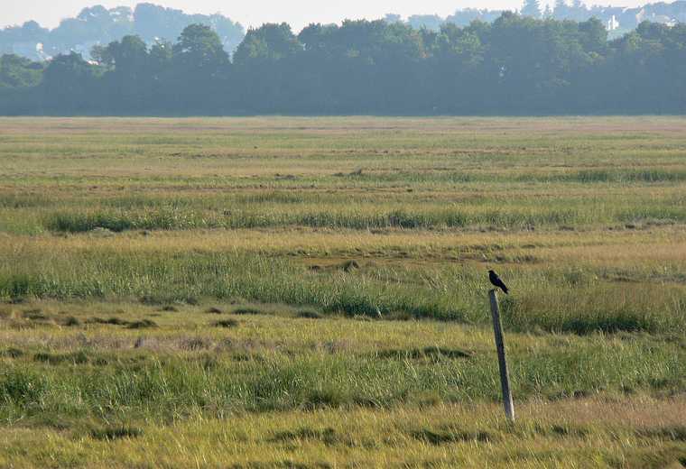 Sept. 21, 2007 - Parker River National Wildlife Refuge, Plum Island, Massachusetts.<br />View from platform at Pines Trail area.