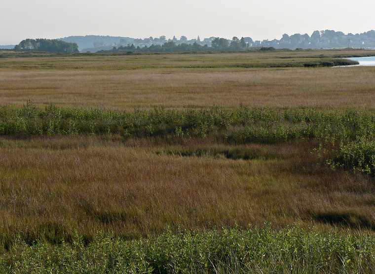 Sept. 21, 2007 - Parker River National Wildlife Refuge, Plum Island, Massachusetts.<br />View of marsh off the dirt road somewhere between parking lots # 5 and # 6.