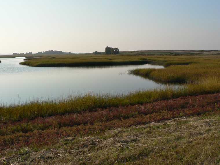Sept. 21, 2007 - Parker River National Wildlife Refuge, Plum Island, Massachusetts.<br />View from Stage Island Pond Overlook.