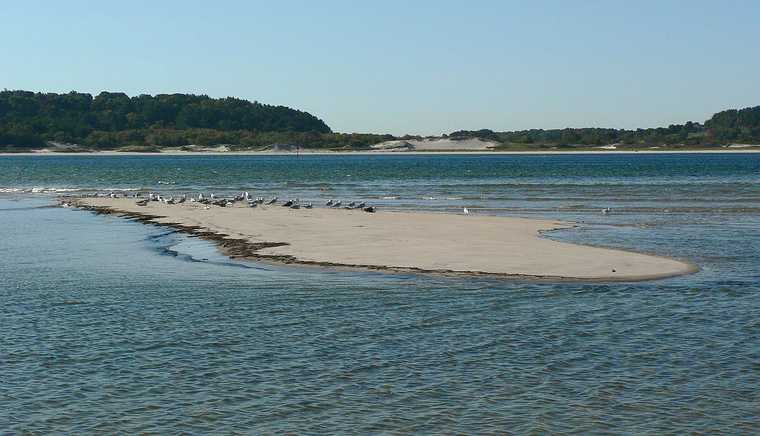 Sept. 25, 2007 - Sandy Point State Reservation, Plum Island, Massachusetts.The seagulls have an island for themselves for the time (tide) being.