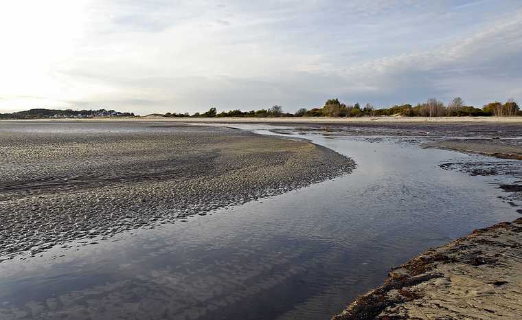 October 9, 2007 - Sandy Point State Reservation, Plum Island, Massachusetts.