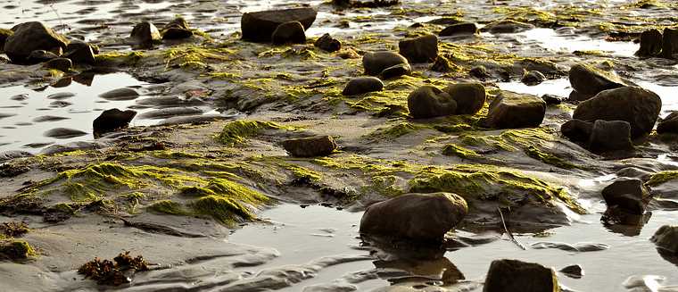 October 9, 2007 - Sandy Point State Reservation, Plum Island, Massachusetts.