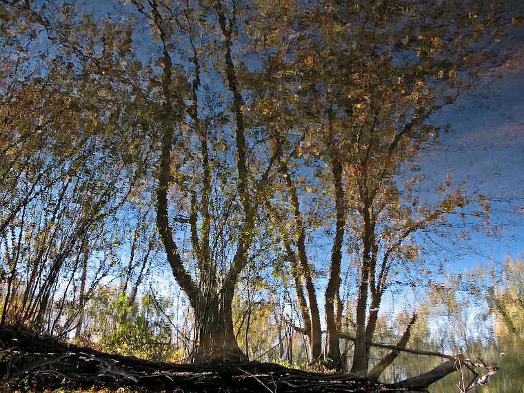 October 16, 2007 - Ipswich River Wildlife Sanctuary, Topsfield, Massachusetts.<br />Reflections.