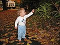 October 20, 2007 - Merrimac, Massachusetts.<br />Matthew checking out the rhododendron.