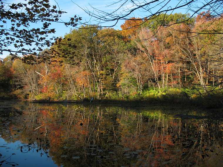 October 22, 2007 - Bradley Palmer State Park, Topsfield, Massachusetts.