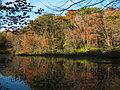 October 22, 2007 - Bradley Palmer State Park, Topsfield, Massachusetts.