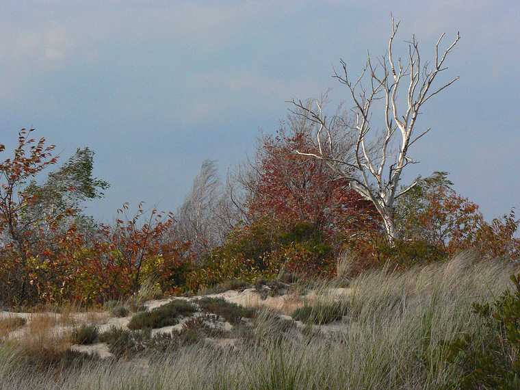 October 31, 2007 - Sandy Point State Reservation, Plum Island, Massachusetts.