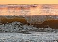 Nov. 4, 2007 - Parker River National Wildlife Refuge, Plum Island, Massachusetts.<br />The morning after the storm along the beach off parking lot # 3.