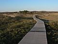 Nov. 4, 2007 - Parker River National Wildlife Refuge, Plum Island, Massachusetts.<br />Boardwalk to parking lot # 3.