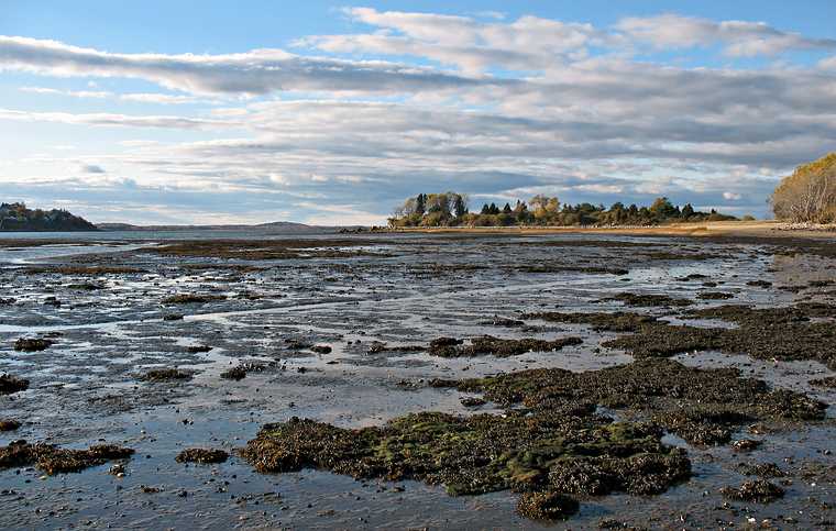 Nov. 7, 2007 - Sandy Point State Reservation, Plum Island, Massachusetts.<br />Plum Island Sound at low tide.