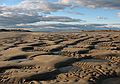 Nov. 7, 2007 - Sandy Point State Reservation, Plum Island, Massachusetts.
