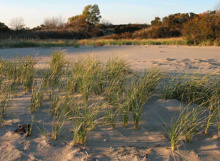 Nov. 13, 2007 - Sandy Point State Reservation, Plum Island, Massachusetts.