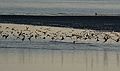 Nov. 13, 2007 - Sandy Point State Reservation, Plum Island, Massachusetts.