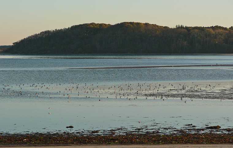 Nov. 13, 2007 - Sandy Point State Reservation, Plum Island, Massachusetts.