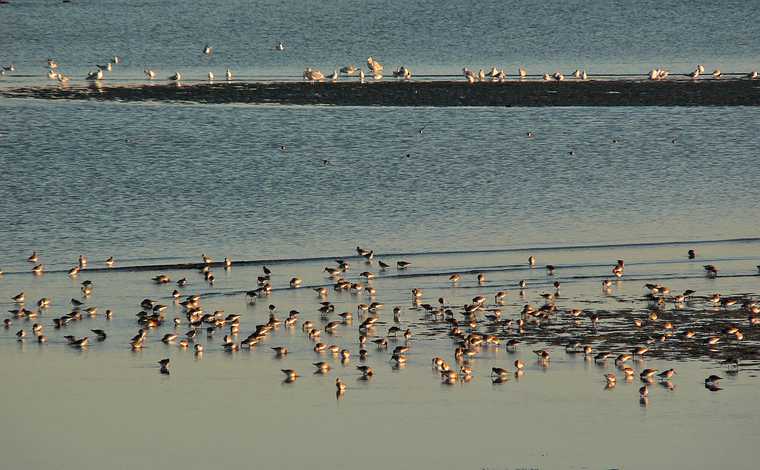 Nov. 13, 2007 - Sandy Point State Reservation, Plum Island, Massachusetts.