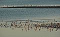 Nov. 13, 2007 - Sandy Point State Reservation, Plum Island, Massachusetts.