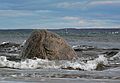 Nov. 16, 2007 - Sandy Point State Reservation, Plum Island, Massachusetts.