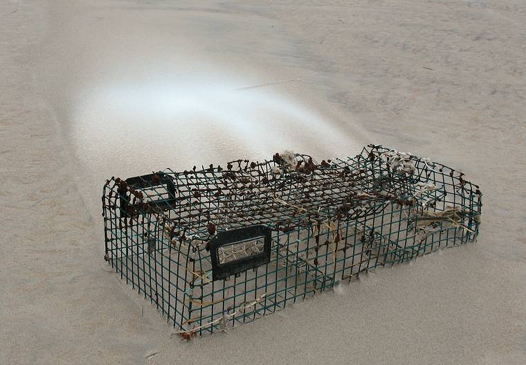 Dec. 4, 2007 - Sandy Point State Reservation, Plum Island, Massachusetts.<br />A lobster trap and its wind shadow as indicated by the snow accumulation.