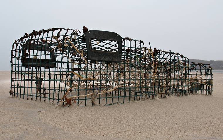 Dec. 4, 2007 - Sandy Point State Reservation, Plum Island, Massachusetts.<br />The lobster trap grew some.