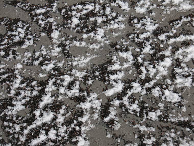 Dec. 4, 2007 - Sandy Point State Reservation, Plum Island, Massachusetts.<br />Every little thing accumulates snow on its lee side.