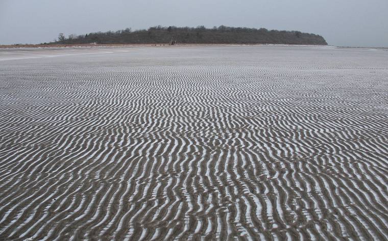 Dec. 4, 2007 - Sandy Point State Reservation, Plum Island, Massachusetts.<br />Zebra beach.