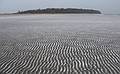 Dec. 4, 2007 - Sandy Point State Reservation, Plum Island, Massachusetts.<br />Zebra beach.