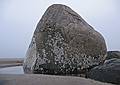 Dec. 4, 2007 - Sandy Point State Reservation, Plum Island, Massachusetts.<br />The rock keeps growing. It's almost twice as tall as when photographed in early November.<br />All the adjacent rocks were then under the sand.