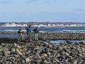 Jan. 2, 2008 - Laudholm Beach, Wells, Maine.<br />Joyce, Sati, and Melody.