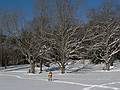 Jan. 15, 2008 - Maudslay State Park, Newburyport, Massachusetts.<br />Joyce.