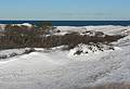 Jan. 16, 2008 - Parker River National Wildlife Refuge, Plum Island, Massachusetts.<br />View from Dunes Trail at Hellcat.