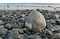 Jan. 20, 2008 - Sandy Point State Reservation, Plum Island, Massachusetts.<br />The rock with Joyce in the distance.