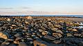 Jan. 23, 2008 - Sandy Point State Reservation, Plum Island, Massachusetts.