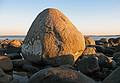 Jan. 23, 2008 - Sandy Point State Reservation, Plum Island, Massachusetts.