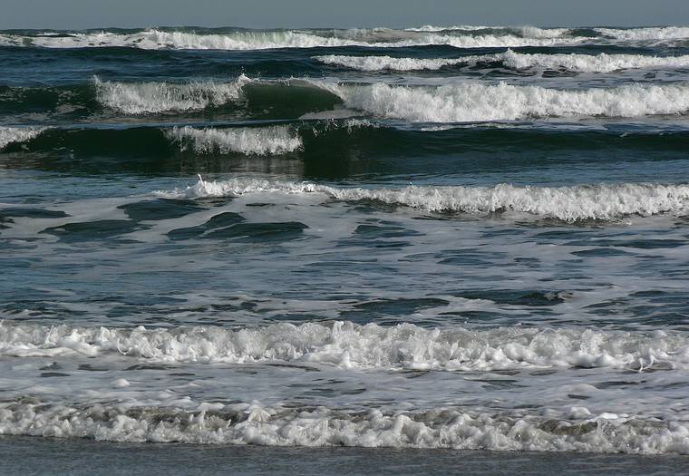 Jan. 29, 2008 - Parker River National Wildlife Refuge, Plum Island, Massachusetts.