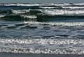 Jan. 29, 2008 - Parker River National Wildlife Refuge, Plum Island, Massachusetts.