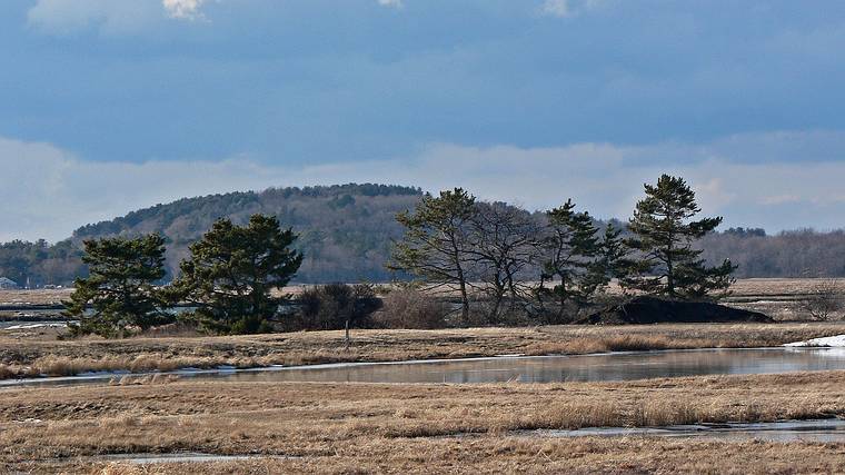 Jan. 30, 2008 - Parker River National Wildlife Refuge, Plum Island, Massachusetts.